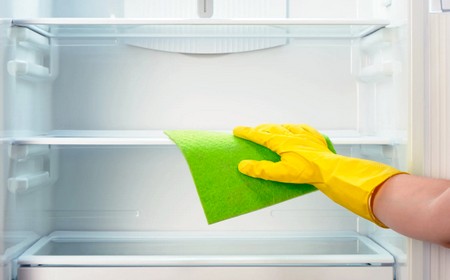 Не работает холодильник, а морозильник работает